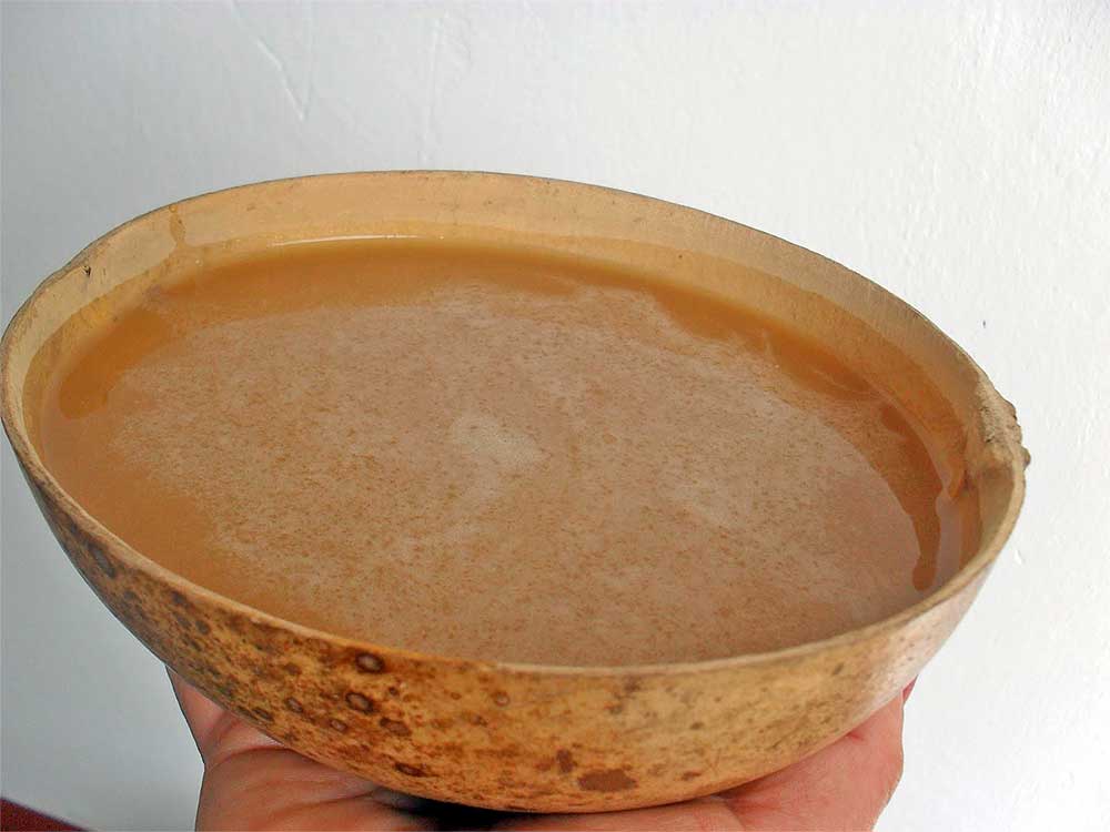 Guarapo Recetas de mi Colombia